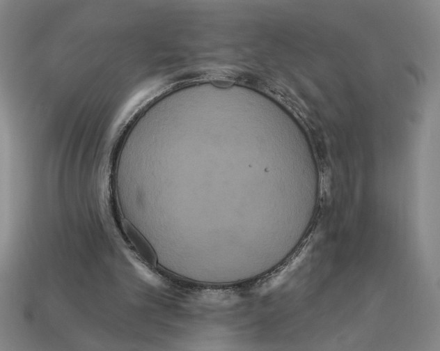 X0000113060101200909250917