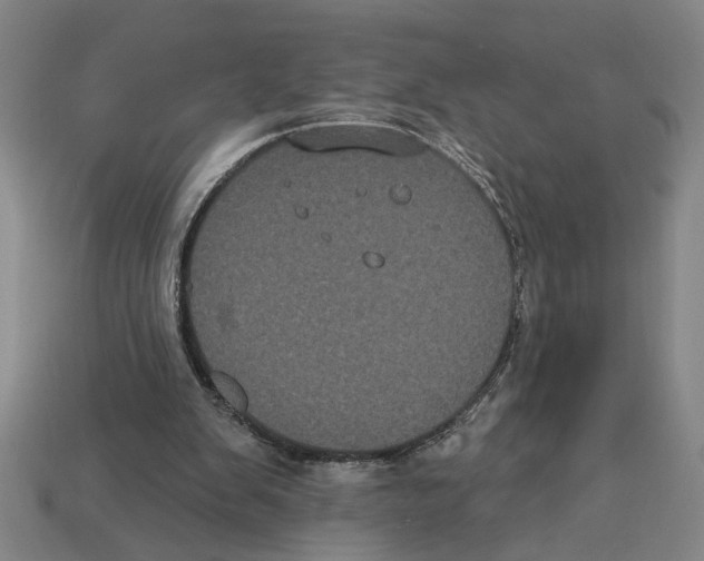 X0000113060103200909250917