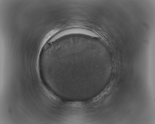 X0000113060104200909250917