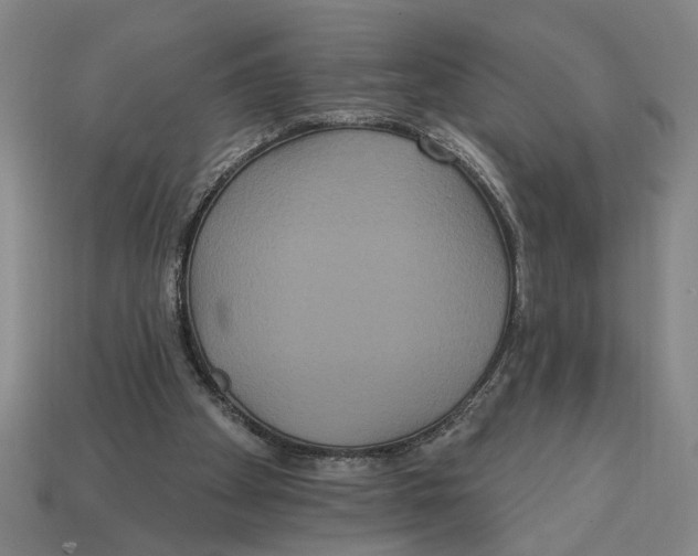 X0000113060105200909250917