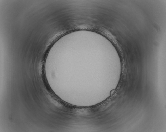 X0000113060106200909250917