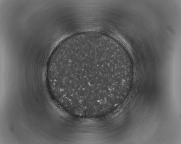 X0000113060107200909250917