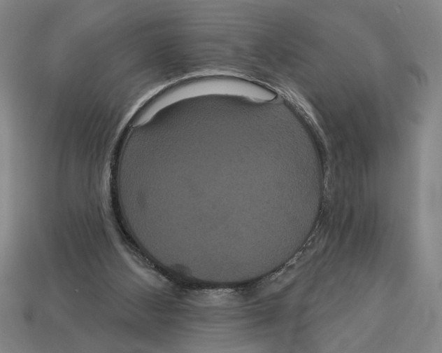 X0000113060108200909250917