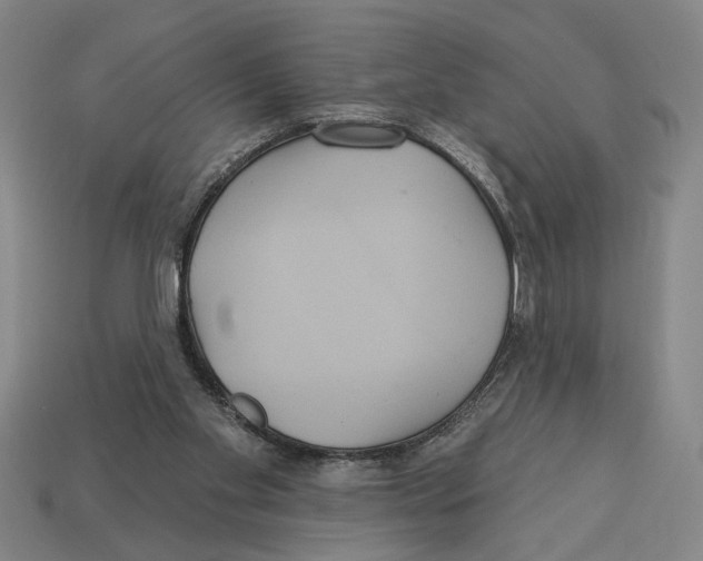 X0000113060109200909250917