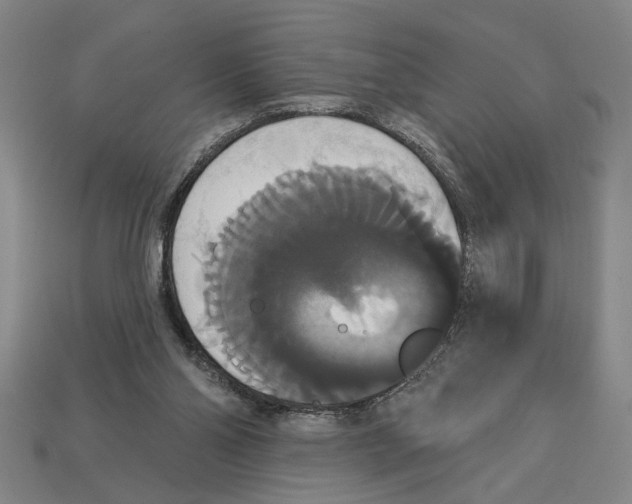 X0000113060110200909250917