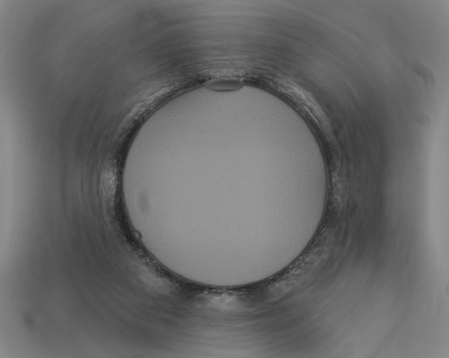 X0000113060113200909250916