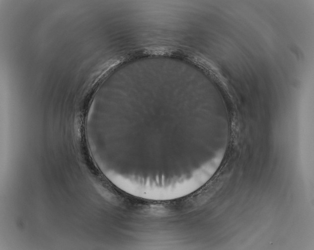 X0000113060114200909250916