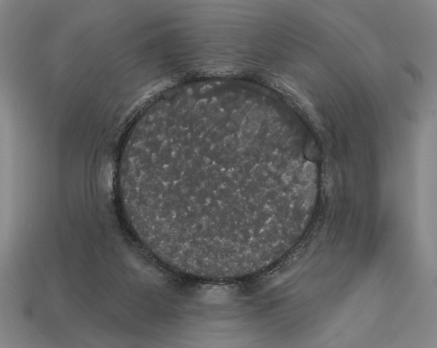 X0000113060115200909250916