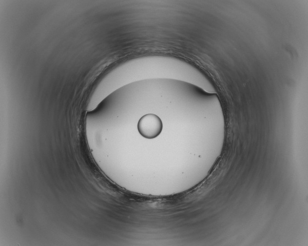 X0000113060116200909250916