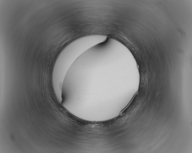 X0000113060117200909250916