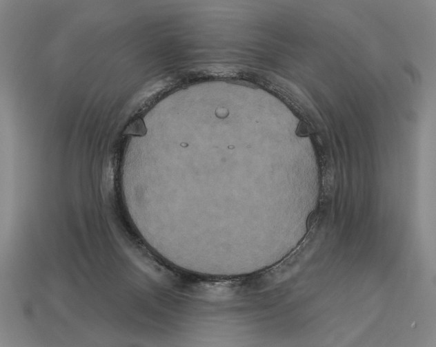 X0000113060120200909250916