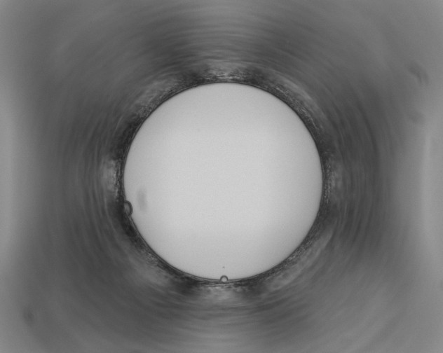 X0000113060121200909250916