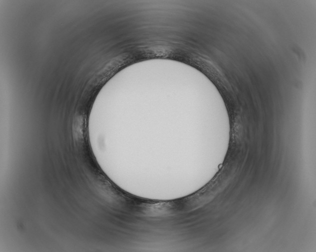 X0000113060122200909250916