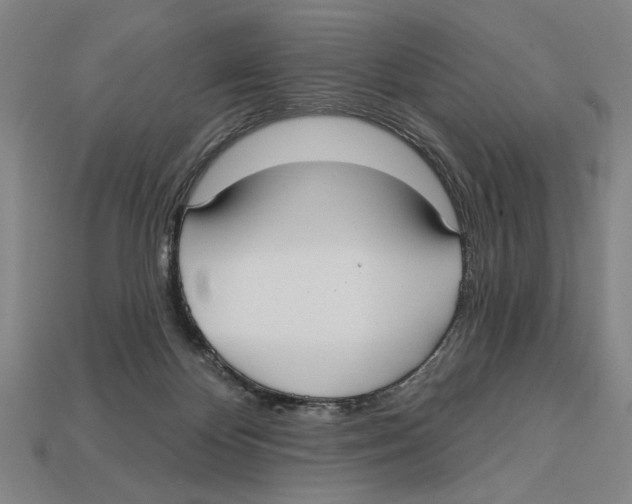 X0000113060124200909250916