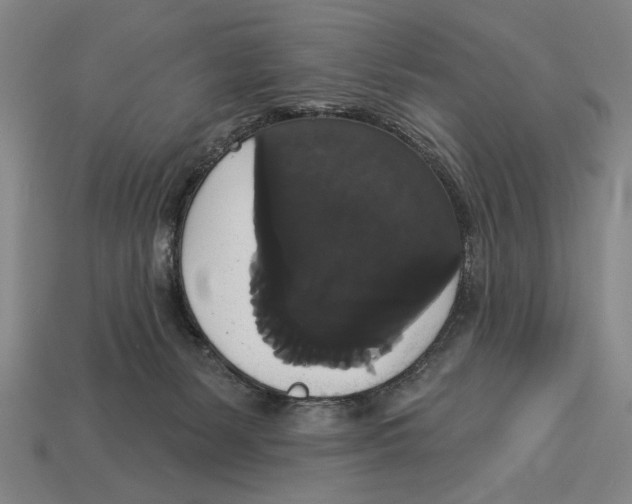 X0000113060127200909250916