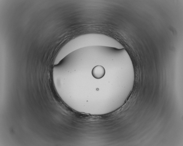 X0000113060128200909250916