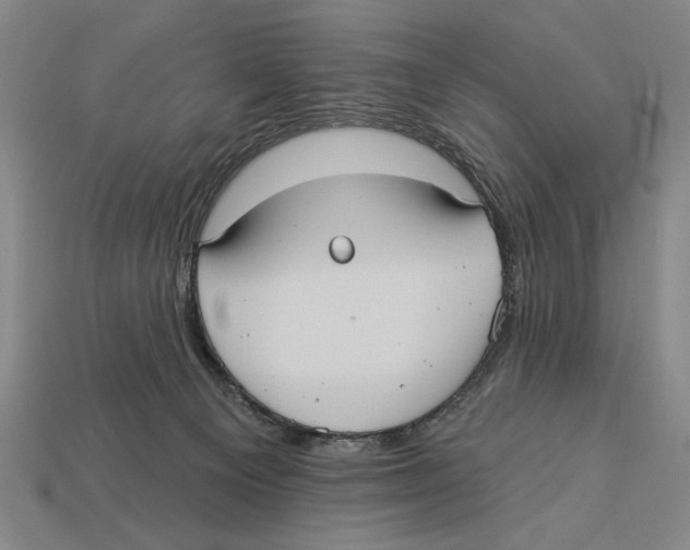 X0000113060129200909250916