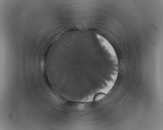 X0000113060130200909250916