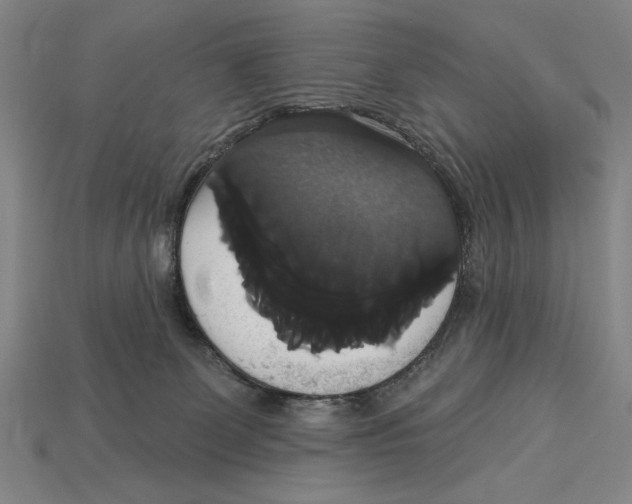 X0000113060131200909250916