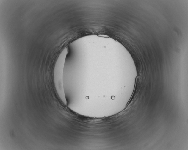 X0000113060132200909250916