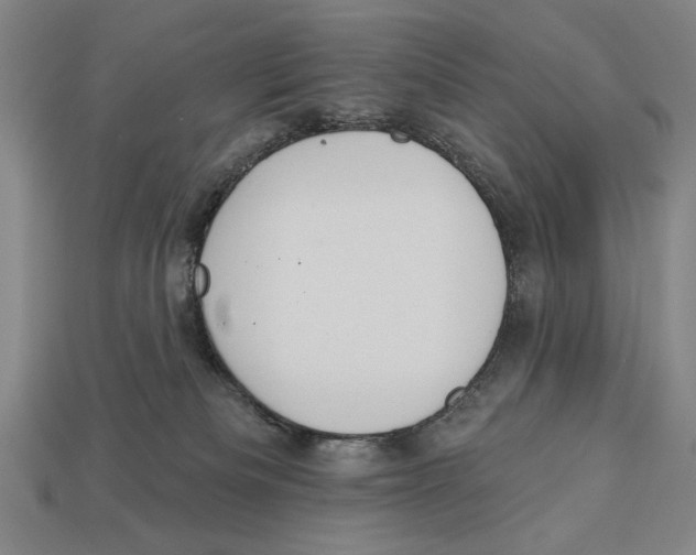 X0000113060133200909250916