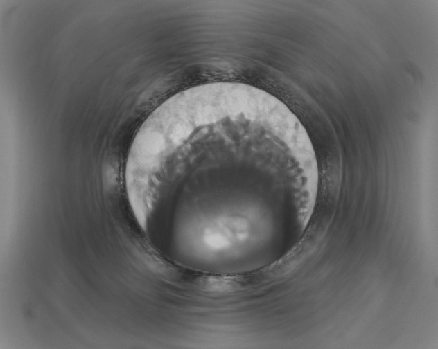 X0000113060134200909250916