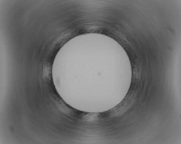 X0000113060138200909250916