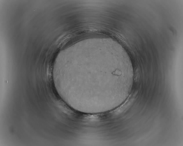 X0000113060140200909250916