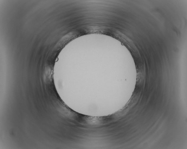 X0000113060142200909250916