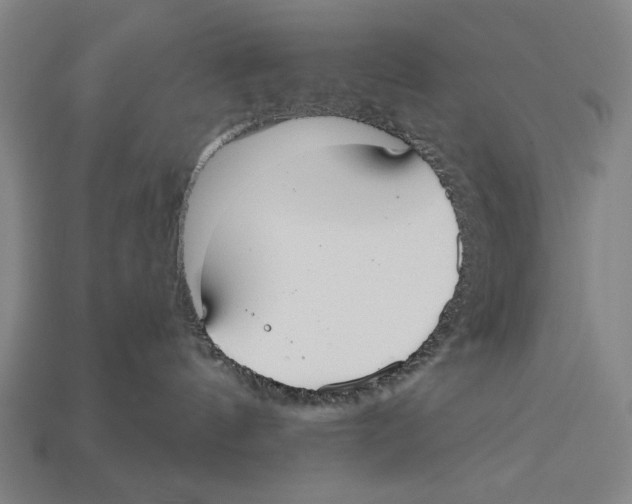 X0000113060144200909250916