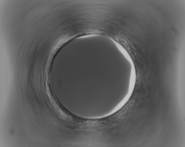 X0000113060145200909250915