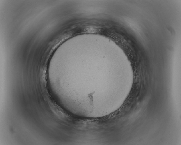 X0000113060146200909250915