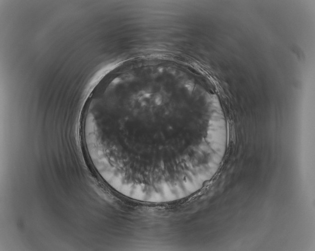 X0000113060147200909250915