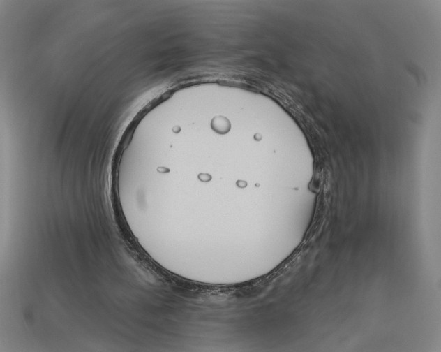 X0000113060148200909250915