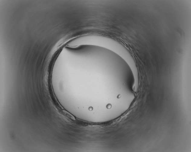 X0000113060150200909250916