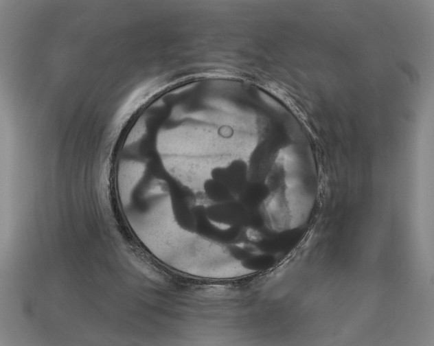 X0000113060151200909250916