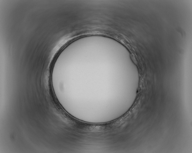 X0000113060152200909250916