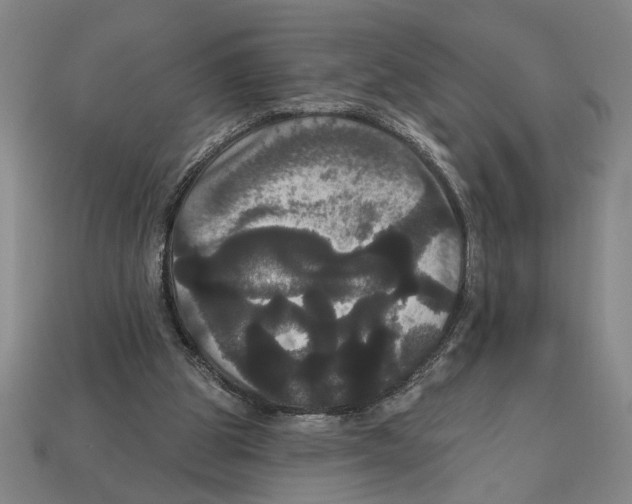 X0000113060153200909250916