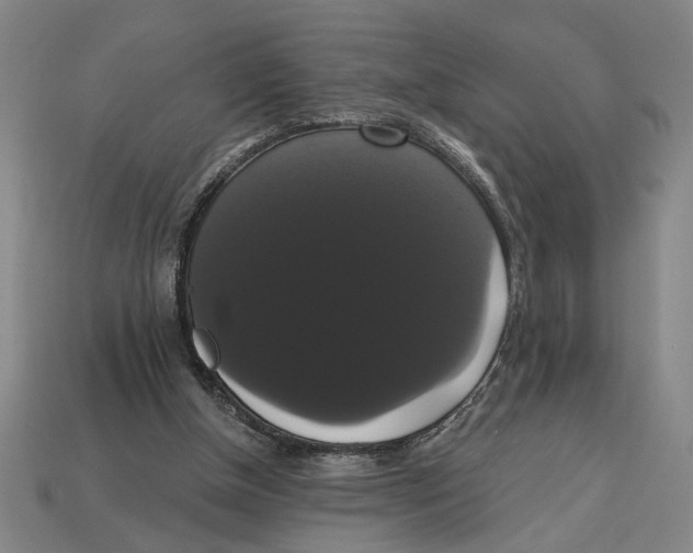 X0000113060154200909250916