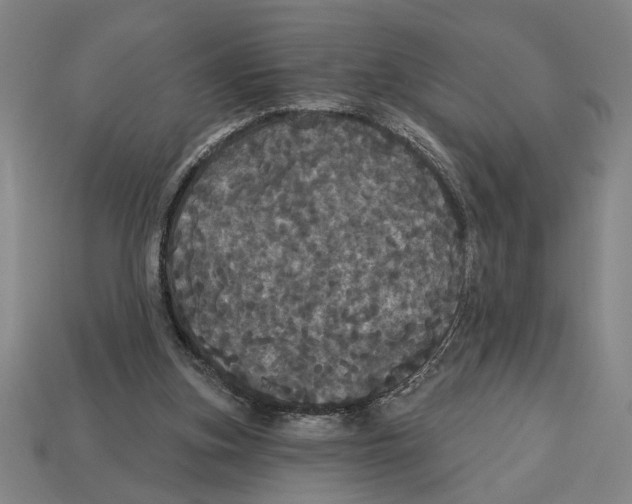 X0000113060155200909250916