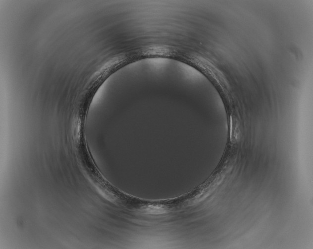 X0000113060157200909250916