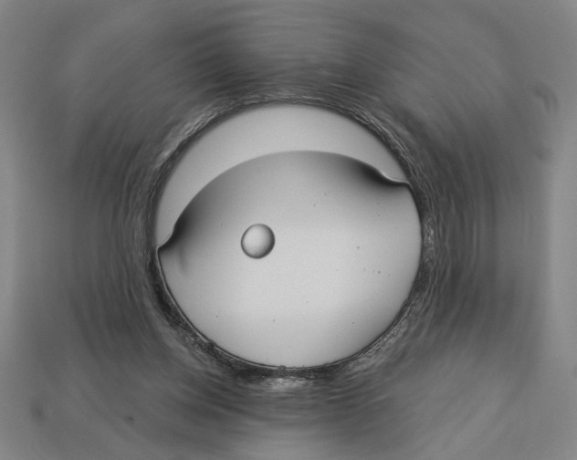 X0000113060158200909250916