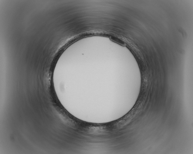 X0000113060160200909250916