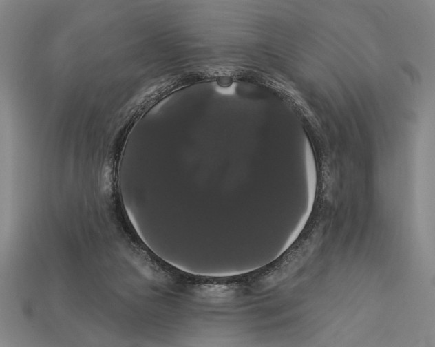 X0000113060161200909250916