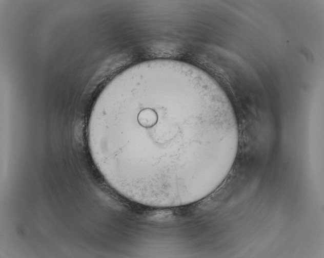 X0000113060162200909250916