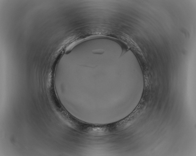 X0000113060163200909250916