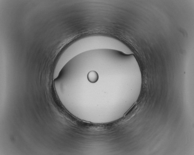 X0000113060164200909250916