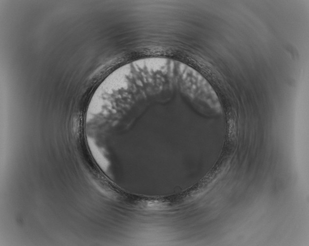 X0000113060165200909250916