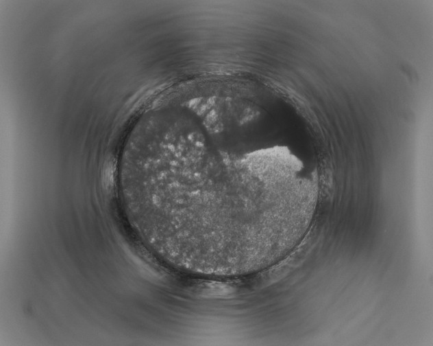 X0000113060166200909250916