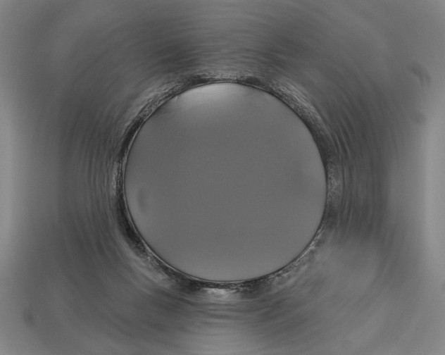 X0000113060167200909250916